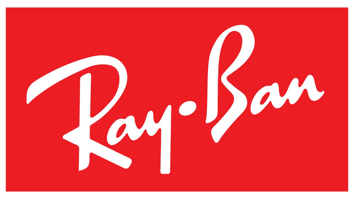 Ray-Ban vista