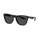 Polaroid sole polarized PLD2133/S 71CM9