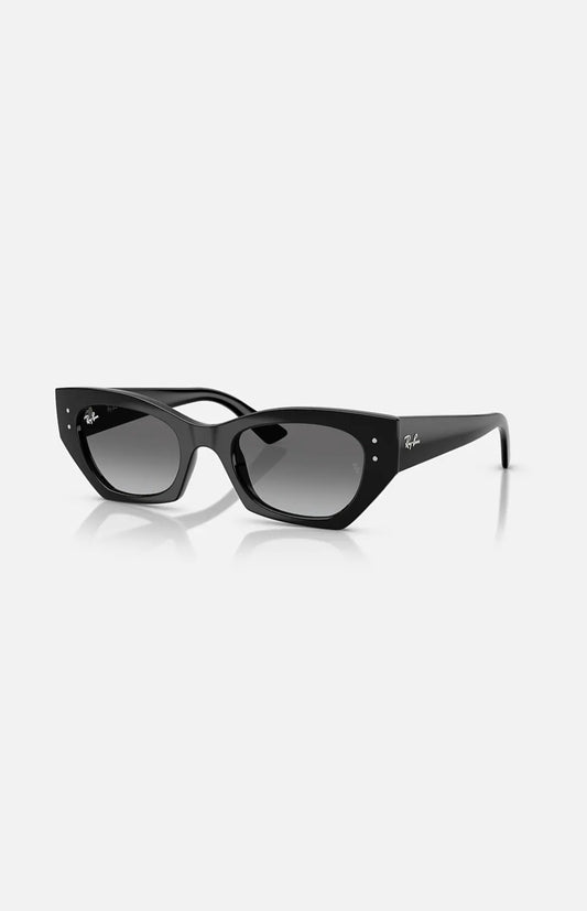 Ray-Ban Zena RB4430 occhiale da sole nero celluloide