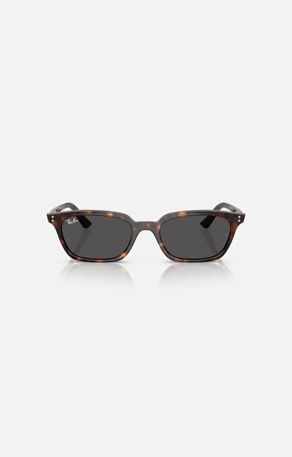 Ray-Ban Zaya RB4456 Bio-Based occhiale da sole tartarugato frontale