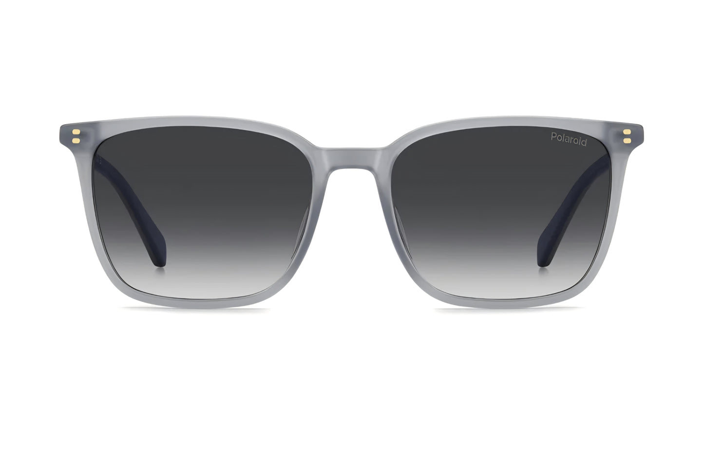 Polaroid sole polarized PLD4207/S/X YB7WJ