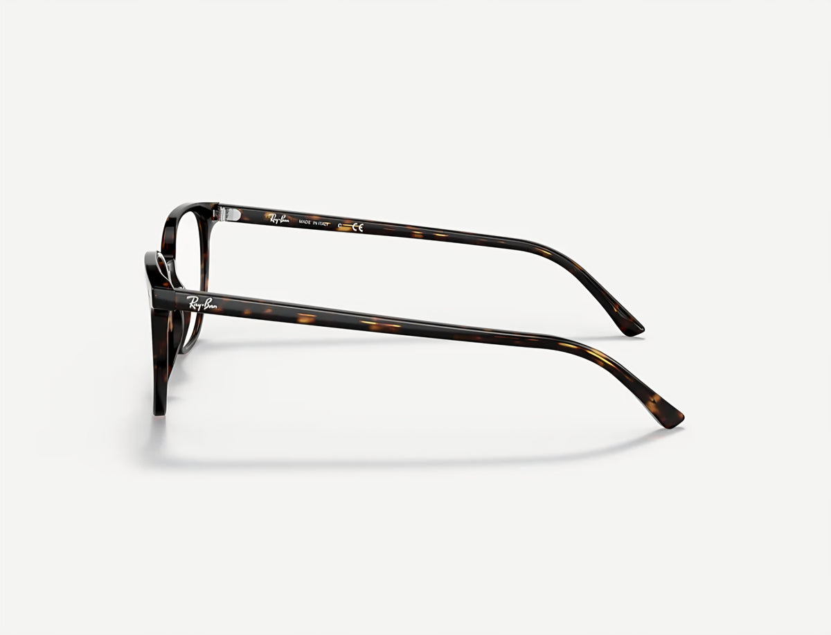 Ray-Ban RB 5393 2012 LEONARD lato