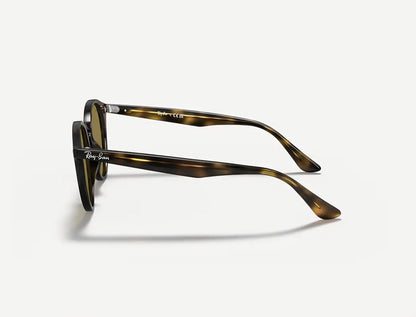 Ray-Ban 2180 710/73 lato